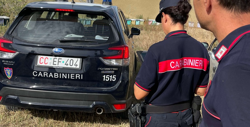 Operazione “Apifarm”, i carabinieri forestali smascherano illeciti nel comparto apistico: in 10 nei guai