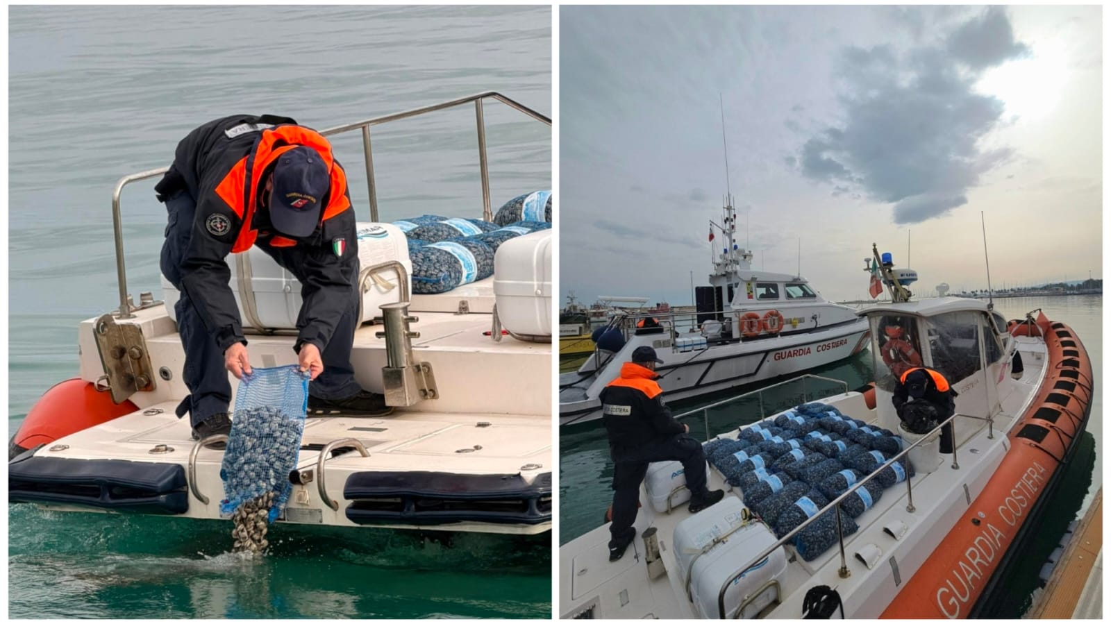 Operazione “Guscio duro”, sequestrata e rigettata in mare una tonnellata di vongole