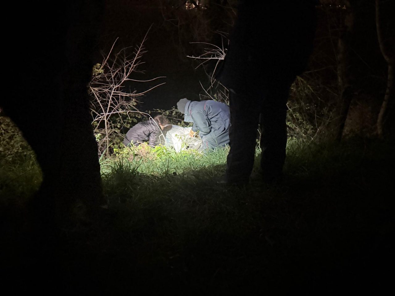 Carcasse di cani in un fosso, ritrovati altri 17 scheletri