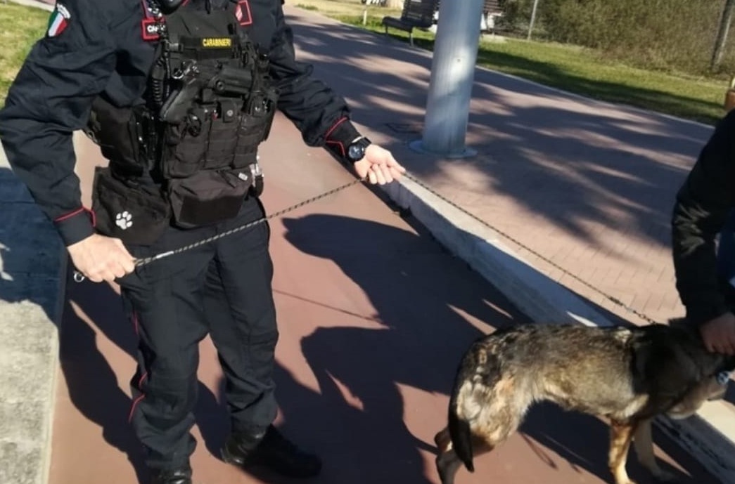 Controlli a scuola, i carabinieri contro droga e armi: in campo anche la Cinofila