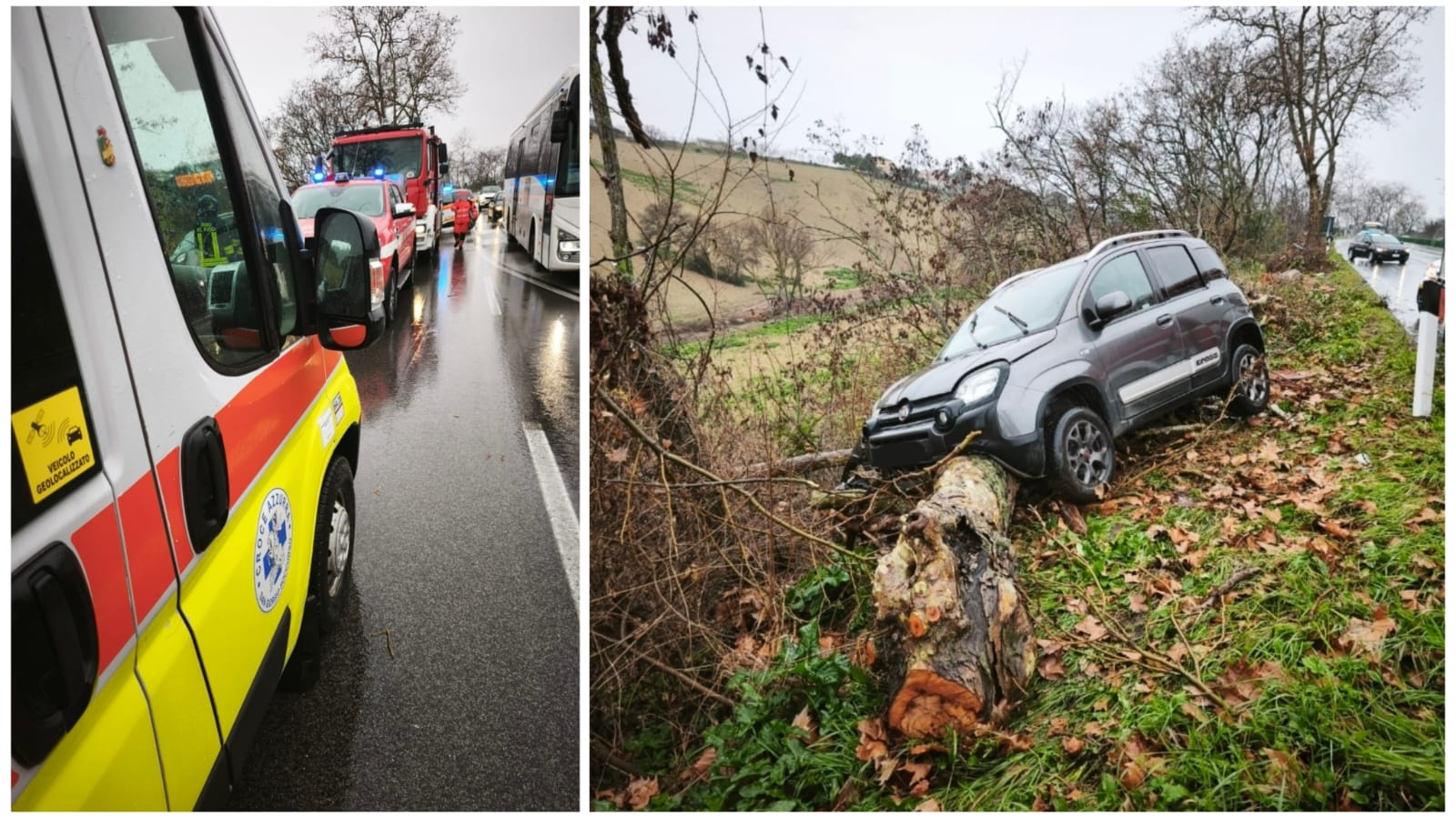 Finisce fuori strada con l’auto e va sbattere contro un tronco, soccorsa una donna