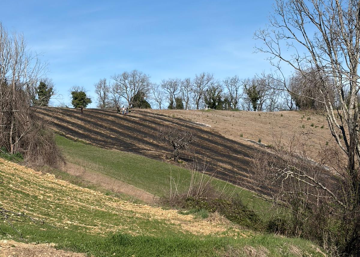 Montegiorgio, le fiamme divorano un campo di sterpaglie