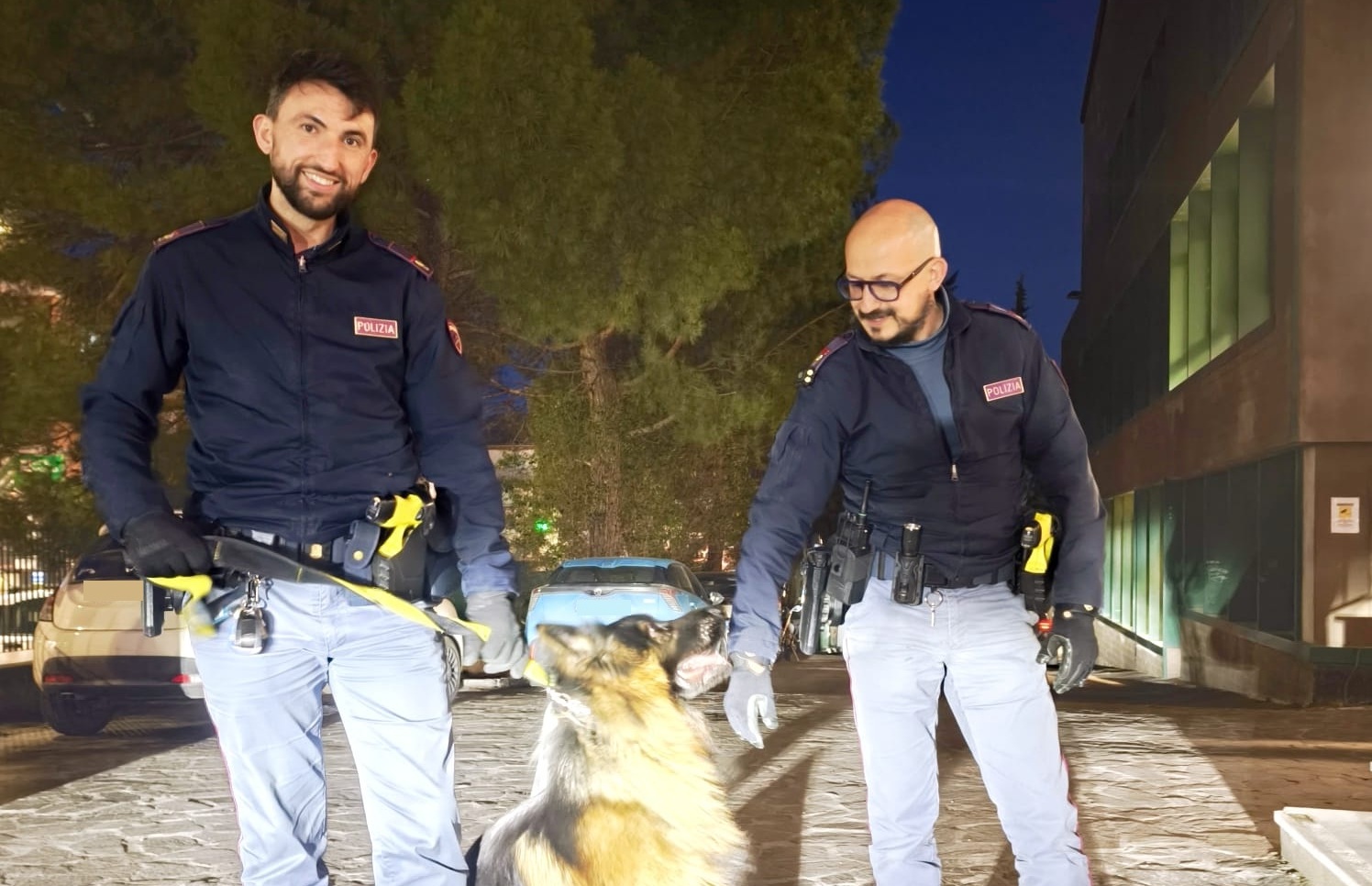 Traffico in tilt in viale Trento: cane si aggira tra le auto in transito, salvato dalla Polizia di Stato
